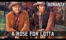 Bonanza - A Rose for Lotta | Episode 01 | Western Series | FULL EPISODES | English